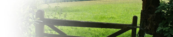 Audio Riders - World of Sounds Around You