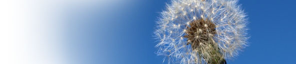 Audio Riders - World of Sounds Around You